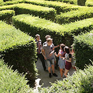 The Maze at Leeds Castle